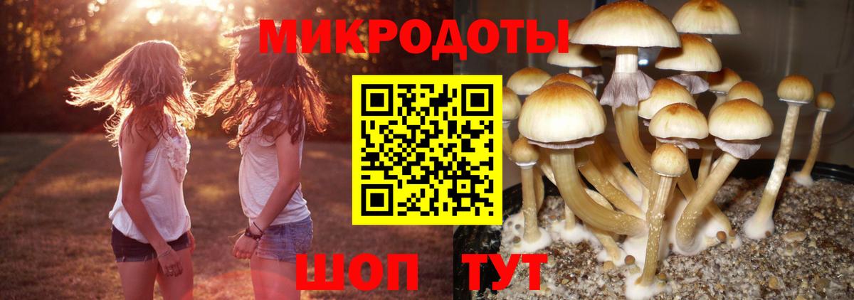 Новокубанск  Псилоцибиновые грибы Psilocybe  Вход с VPN  Галлюциногенные грибы мухоморы 