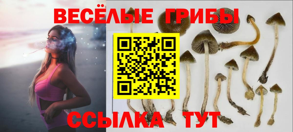 Псилоцибиновые грибы MAGIC MUSHROOMS Новокубанск